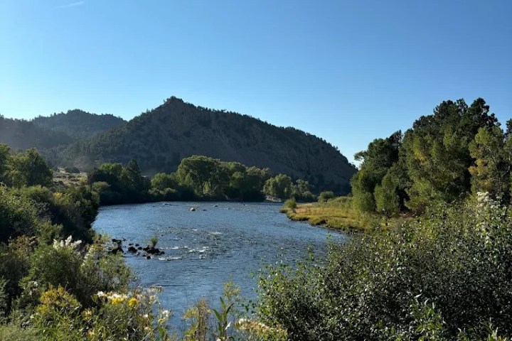 a large body of water surrounded by trees