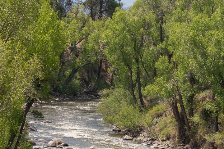 Two rafts on a river surrounded by trees with mountains in the background.